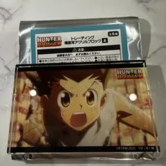 HUNTER × HUNTER 場面写アクリルブロック プラザ　ゴン