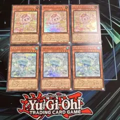 LOCH マルチャミー・プルリア　ニャルス シク 2枚 スーパー2枚