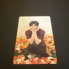 BTS RM ミニフォトカード