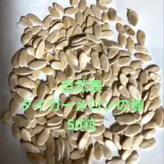 芝ちゃん様 リクエスト 2点 まとめ商品