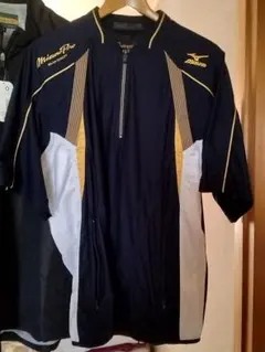 Item thumbnail for item 2ada81e1-b92c-44cf-8b39-ccc4113bfe48