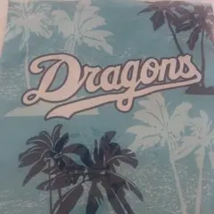 ち*ー様 ドラゴンズ 沖縄キャンプ　トートバッグ