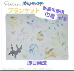 新品ポケモン プレミアム巾着付きブランケット イーブイ