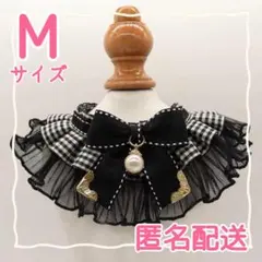 Item thumbnail for item 1760f52e-b7a0-48e6-a424-3ff60e0f0939