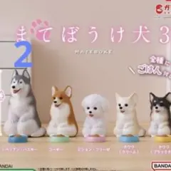 【ハスキー　2個】まてぼうけ犬　3 シベリアンハスキー ガチャガチャ