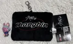 【StrayKids】 スキズ チャンビン パスケース フィギュア セット 人気