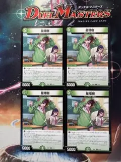 星増樹　4枚