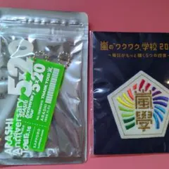 a*i様 嵐グッズセット