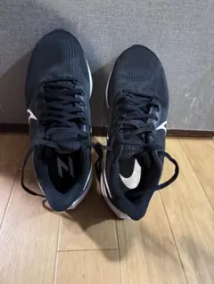 Nike Air Zoom Pegasus 39 黒　26.5㎝