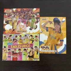 楽天イーグルス2024・2025 売り子カードゆあさん