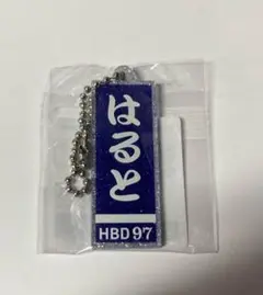 読売ジャイアンツ井上温大投手生誕祭 はるプーチャレンジ