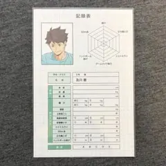 ハイキュー　及川徹　アニメイト特典　ポストカード　身体測定