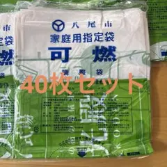 Item thumbnail for item a5cd2535-95bd-4a6b-a98b-49f824c2634c