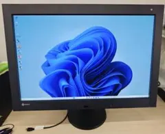 EIZO RadiForce RX440 29.8型液晶モニ　WQXGA
