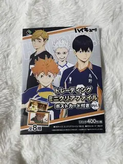 日向翔陽 ハイキュートレーディングミニクリアファイル 応援団ポストカード