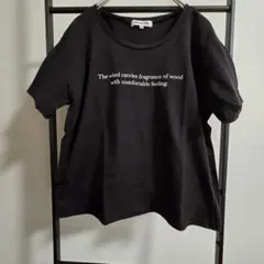 NATURAL BEAUTY BASIC ロゴTシャツ ブラック Mのサムネイル