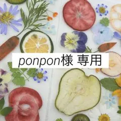 押しフルーツ♡ ponpon様専用♡