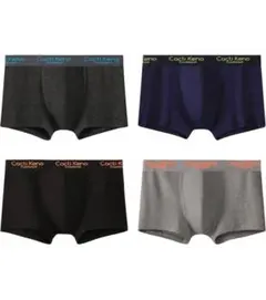 ボクサーパンツ メンズ 4枚セット 抗菌 除菌 清潔 防臭効果 2XL