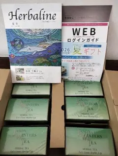 ジェイソン・ウィンターズ・ティー 30包×6個 おまけ付き（3包）新品未