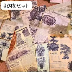 レトロ図鑑柄デザインペーパー アンティーク 花 コラージュ素材おすそ分け紙モノ