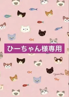 ひーちゃん様専用