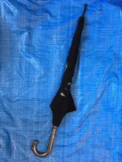 Item thumbnail for item 9e412ebd-a663-4827-bbd8-ddab6fd0d719