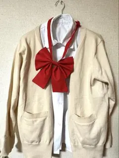 にじさんじ 椎名唯華 コスプレ衣装 ウィッグ ヘアピン 制服 靴 フルー