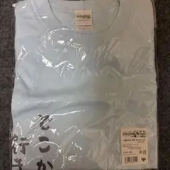 Project SEKAI 花里みのり 夏用ラッコTシャツ Lサイズ