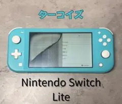 Switch Lite ターコイズ 液晶漏れあり ジャンク 動作OK 充電器付