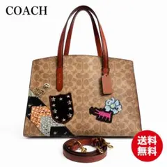 ✨美品✨コーチ キースヘリング コラボ 2way ショルダーバッグ ミニ 