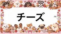 専用