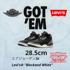 Item thumbnail for item 6af5782d-303f-452b-9aed-192ecfb99d43