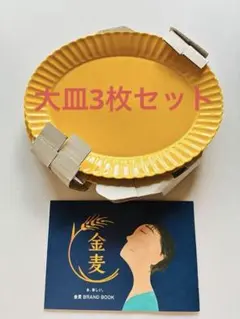 金麦 花やか皿の大皿 プレート 3枚セットのサムネイル