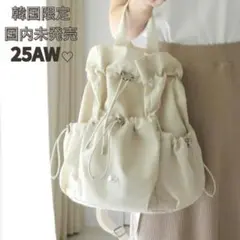 【すぐ発送】新品 韓国限定 ノースフェイス ボニーパックM ホワイト 公式完売