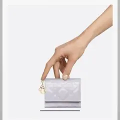 2025年最新】ディオール 財布 日本限定の人気アイテム - メルカリ