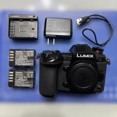 2026年最新】lumix g9 pro バッテリーの人気アイテム - メルカリ