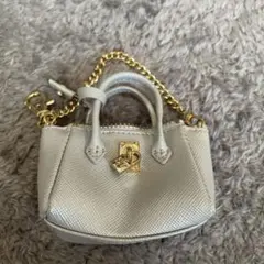 Samantha Thavasaチャーム