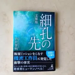 細孔の先 文庫版 芥沢啓明