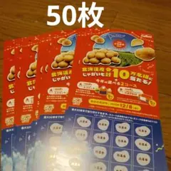 カルビー　応募ハガキ(応募用紙)50枚