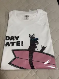 沖縄限定　ファミンチュ　Tシャツ