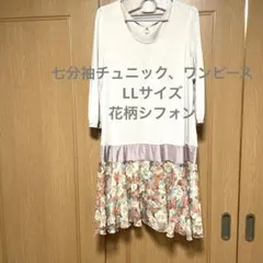 Item thumbnail for item b044f285-26a9-4014-8b8b-d08003420a0a