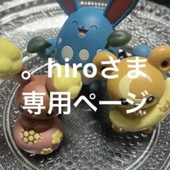 。hiroさま専用ページ