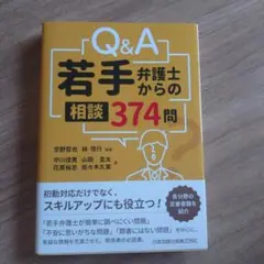 Q&A若手弁護士からの相談374問