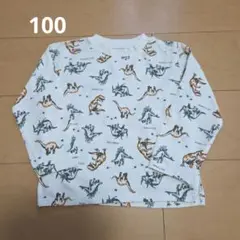 【100】ディットマーク ロンT 恐竜柄