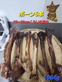 ガジガジおやつ】白い歯のために 人気の鹿 大きめドライボーン 6本