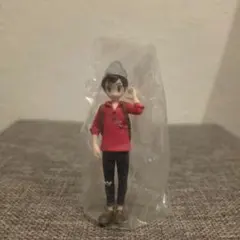 ポケモンスケールワールド ガラル地方2 マサル