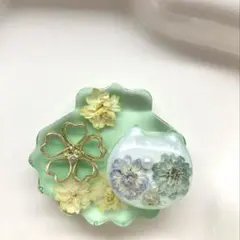 レジン ヘアゴム シェルと猫ちゃんフェイス クリアグリーン◡̈