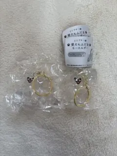 Item thumbnail for item 1b2e578c-dacd-488d-b114-bf591714eea2