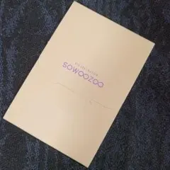 BTS SOWOOZOO ソウジュ ミニフォト 公式