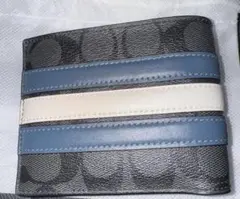 Item thumbnail for item 38554d51-dc7b-4b49-97f6-572c82e80406